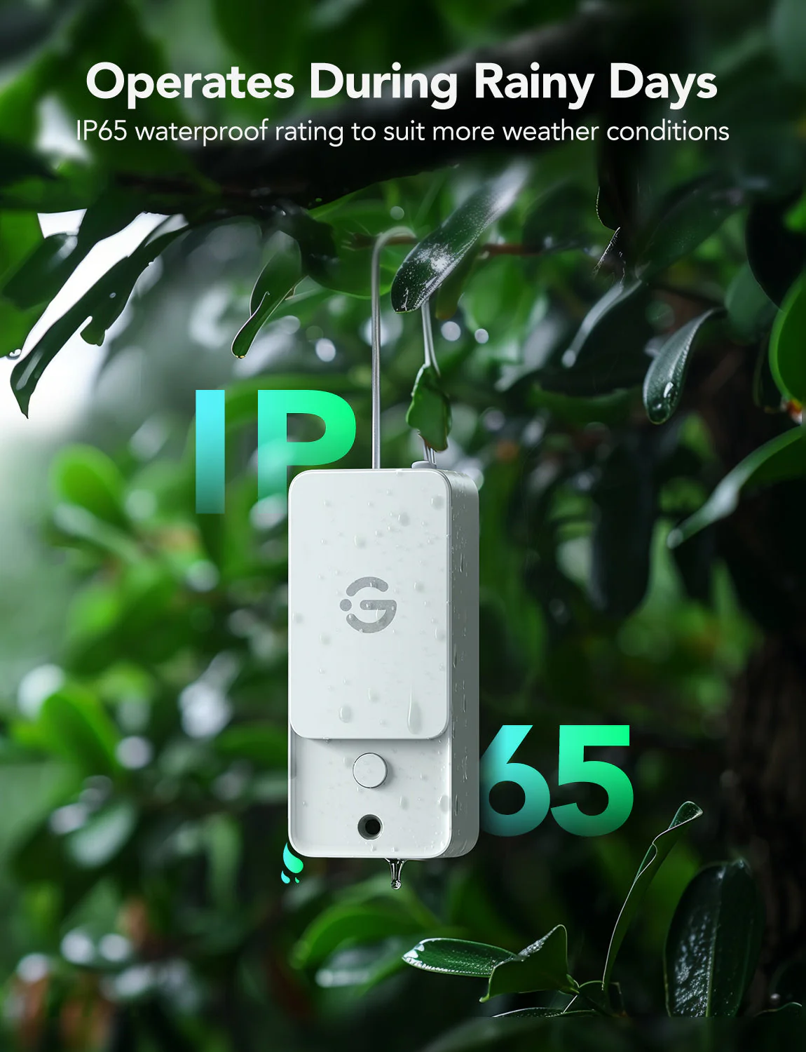GoveeLife Smart Thermo-Hygrometer 3 Lite - Image 4
